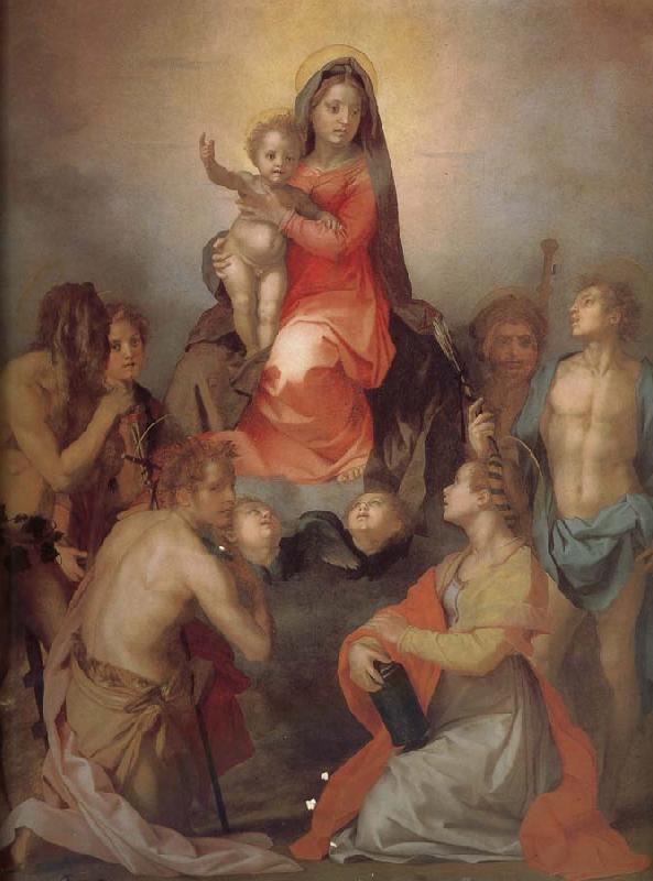 Andrea del Sarto The Virgin and Child with Saints Germany oil painting art